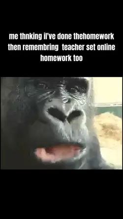 monkey eating meme