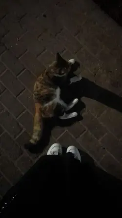 pasa samakin langang