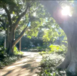 아이유 - 가을아침 오르골