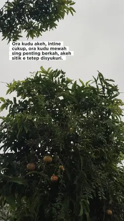 Ora kudu akeh, intin