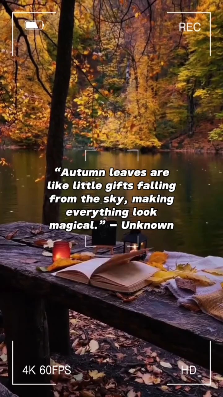 Quote for Autumn 