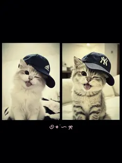 แฟน