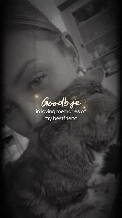 My pet memories