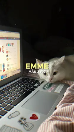 [2] Emme- Đạt G