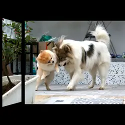 ค้าออนไลน์