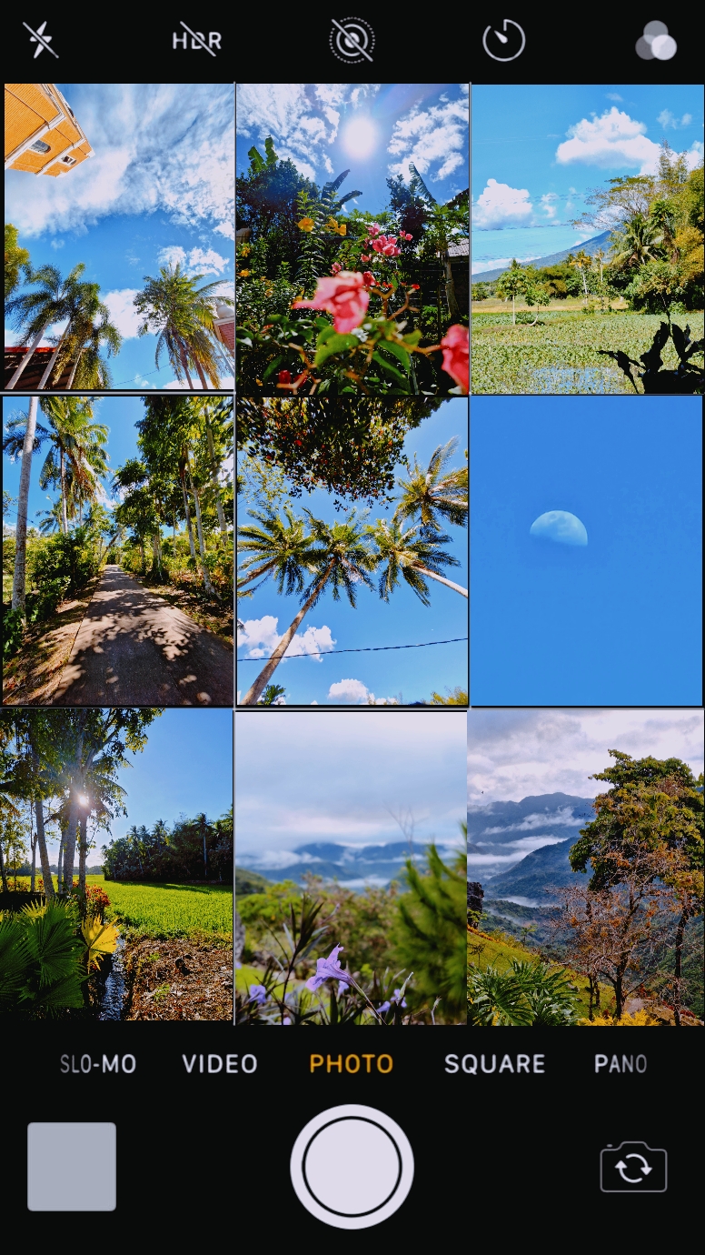 Natureza 