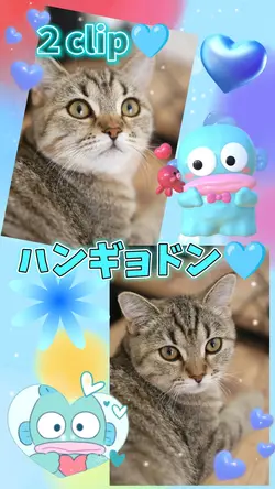 ハンギョドン/２clip