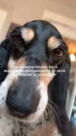 Mon bébé 