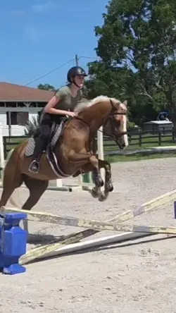 he’s so cute ⚠️FAKE⚠️