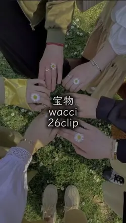 宝物 wacci