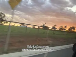 Speedy bio ⚠️fake ⚠️