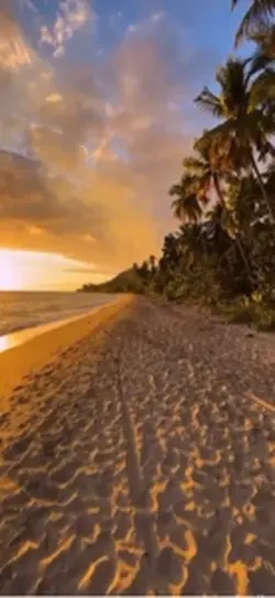mentally I’m here