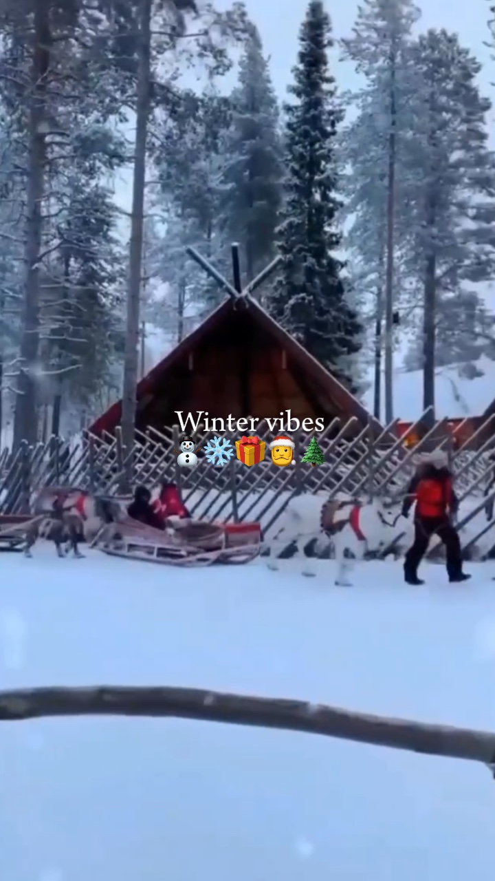 Winter vibes 