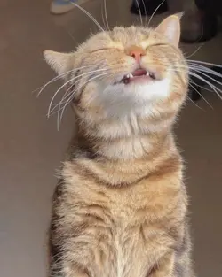 cute 