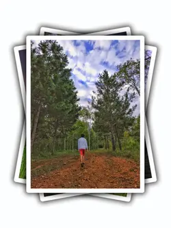 10PicFrame Aesthetic