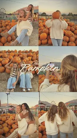  Pumpkin Patch