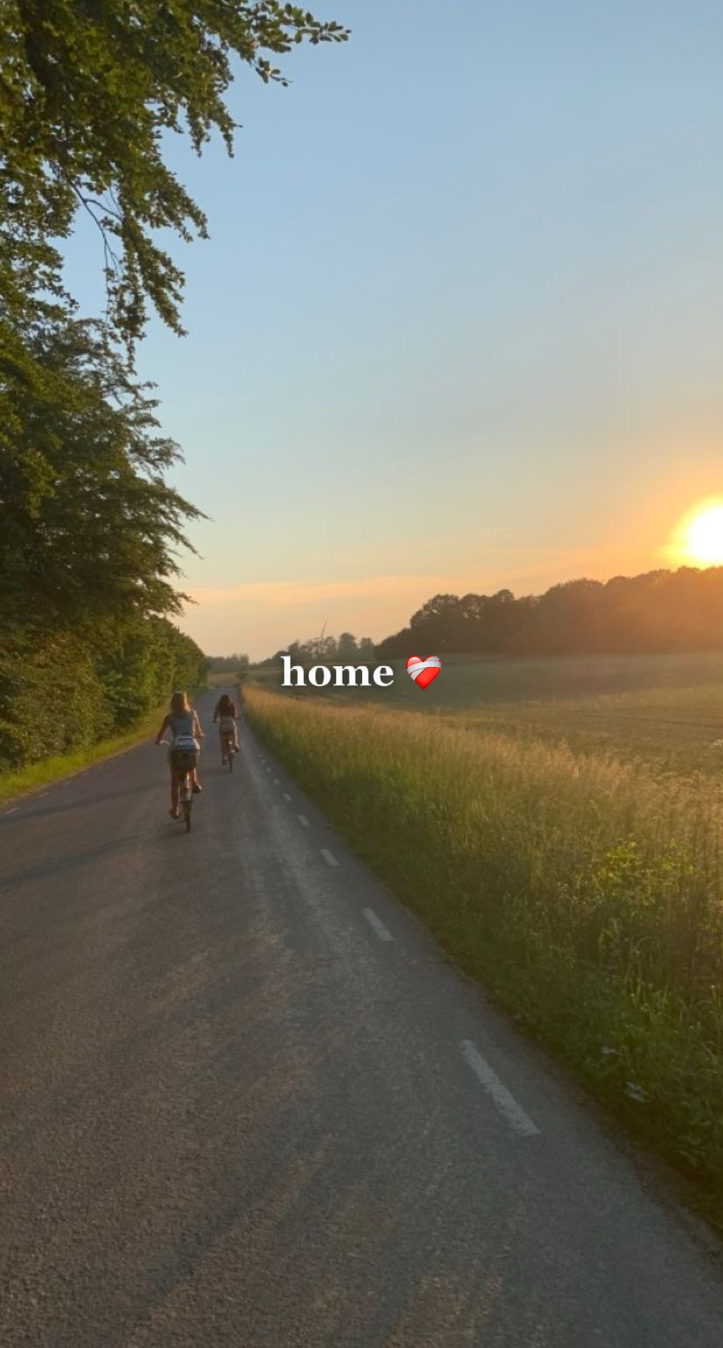 Bienvenido a casa ❤️‍🩹