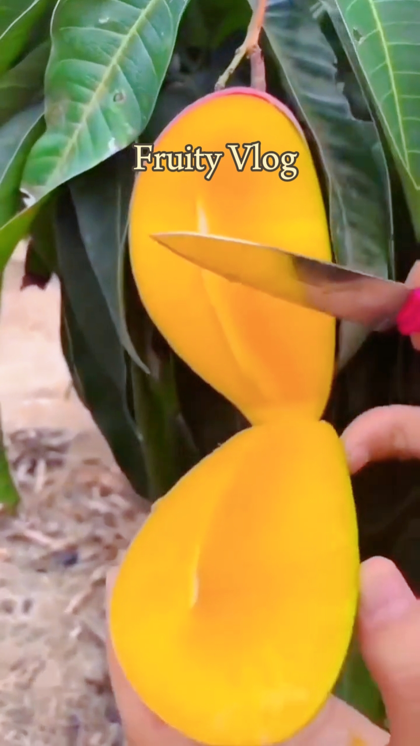 Vlog l Buah l Fruit
