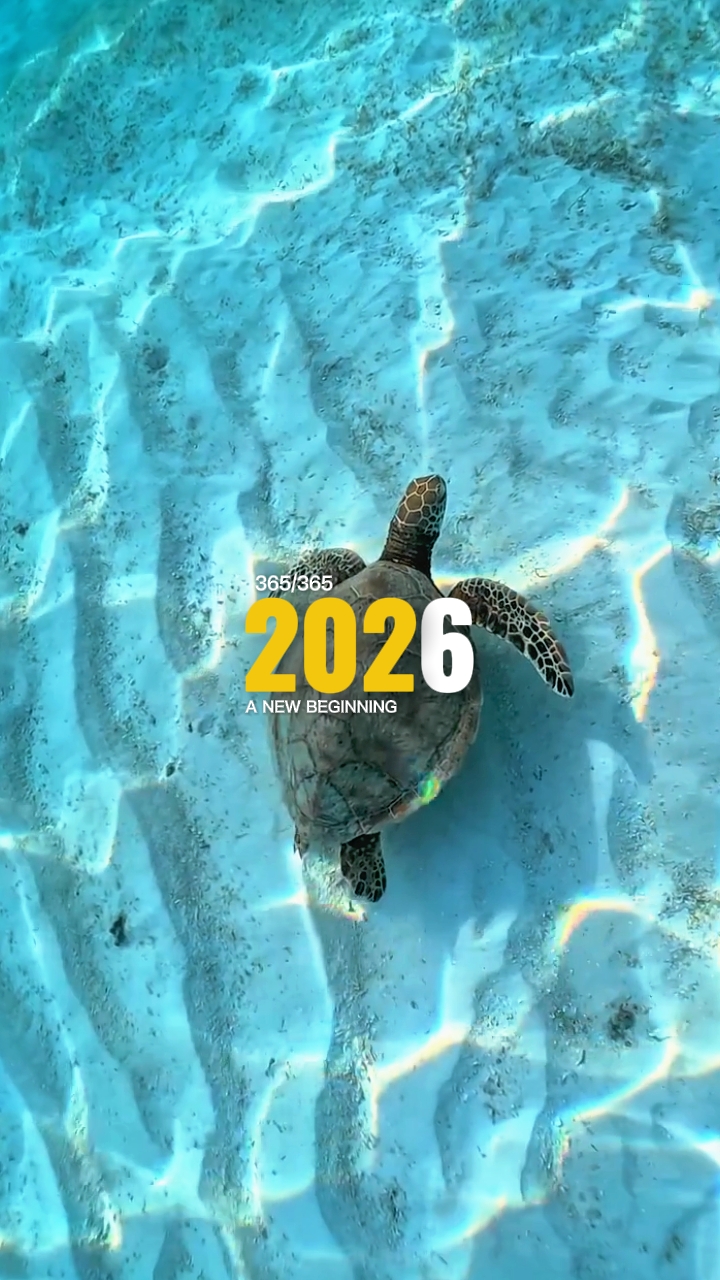 Bienvenido 2026