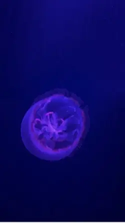 人生のメリーゴーランド