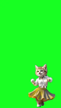 Gato.