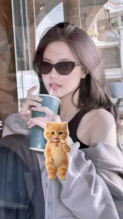 Cat dance Viral 