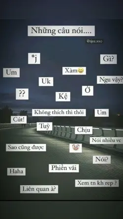 1 ảnh + thay đc chữ