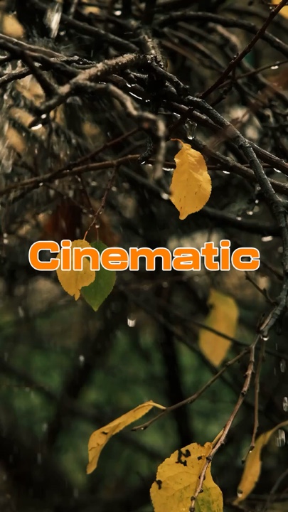 Cinématique