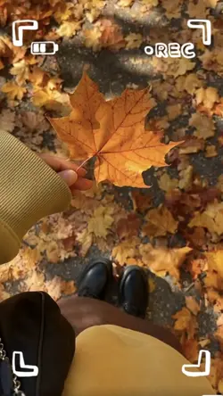 紅葉の思い出に🍁