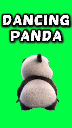 CUTE DANCING PANDA