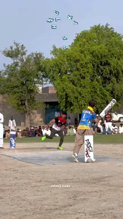 Flickshot 🏏