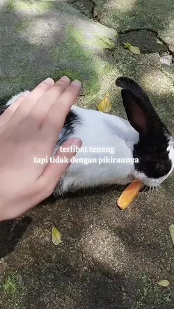 teks bisa diganti