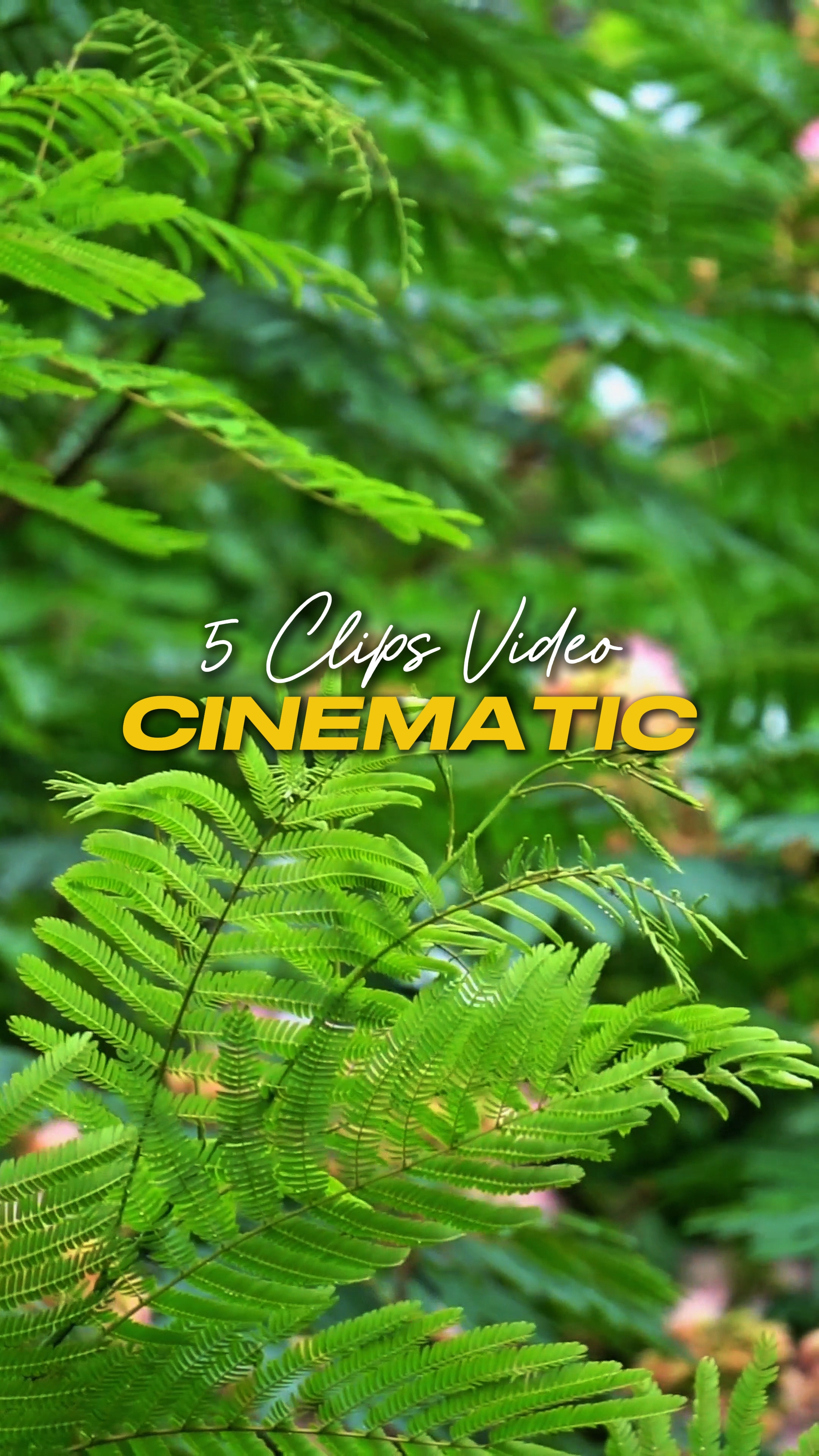 Sinematik 5 Video