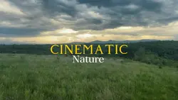 CINEMATIC NATURE