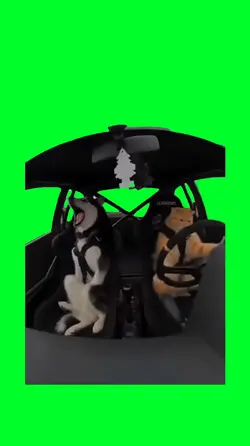 Crazy driver meme