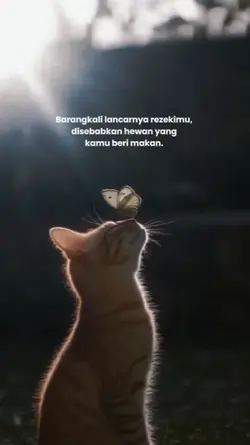 Barangkali lancarnya