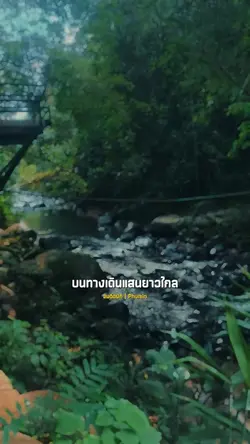 ลมติดปีก 