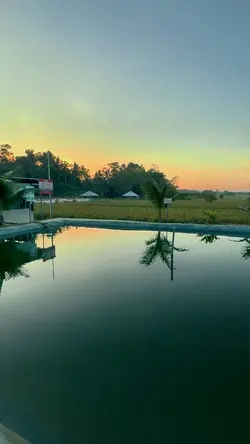 Cinematic Sawah