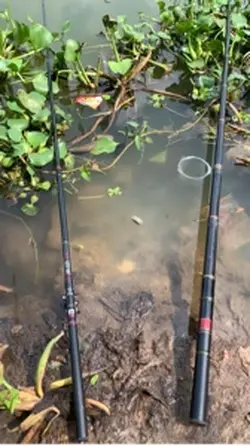 Mancing mania