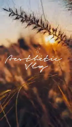 Aesthetic vlog