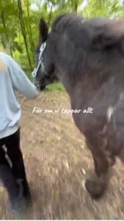 Bästa ponnyn ❤️❤️❤️