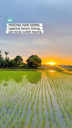 PESONA HARI SENIN