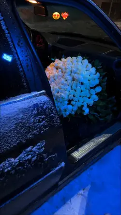 Slowmotion 