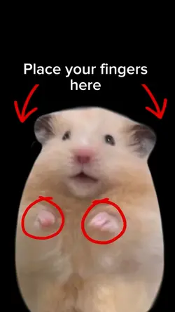 Funny hamster meme