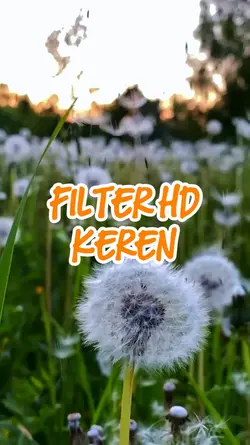 FILTER JERNIH IPHONE