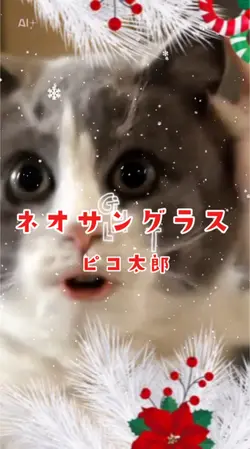 ネオサングラス