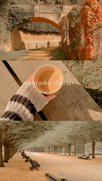 Herbst-Tagebücher