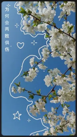 Mẫu baet 13 ảnh