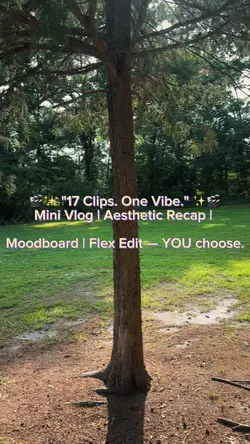 🎥 17 clips. One vibe