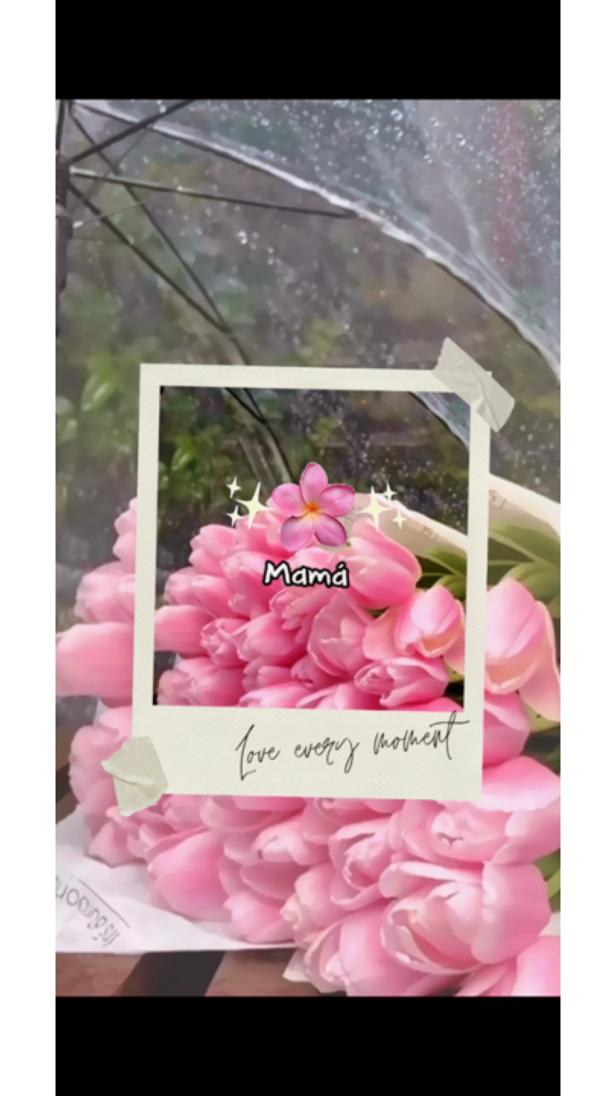 Te amo, maman 